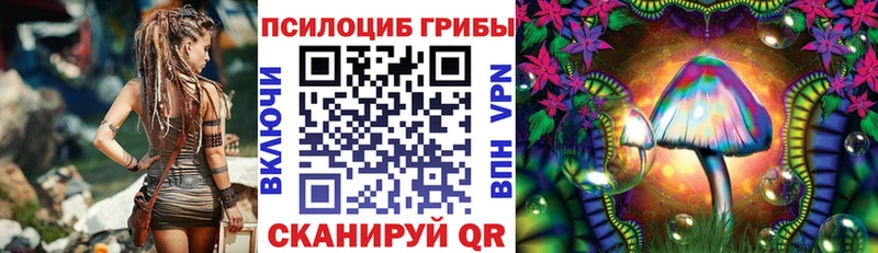 Псилоцибиновые грибы Psilocybe  МЕГА вход  Иноземцево 
